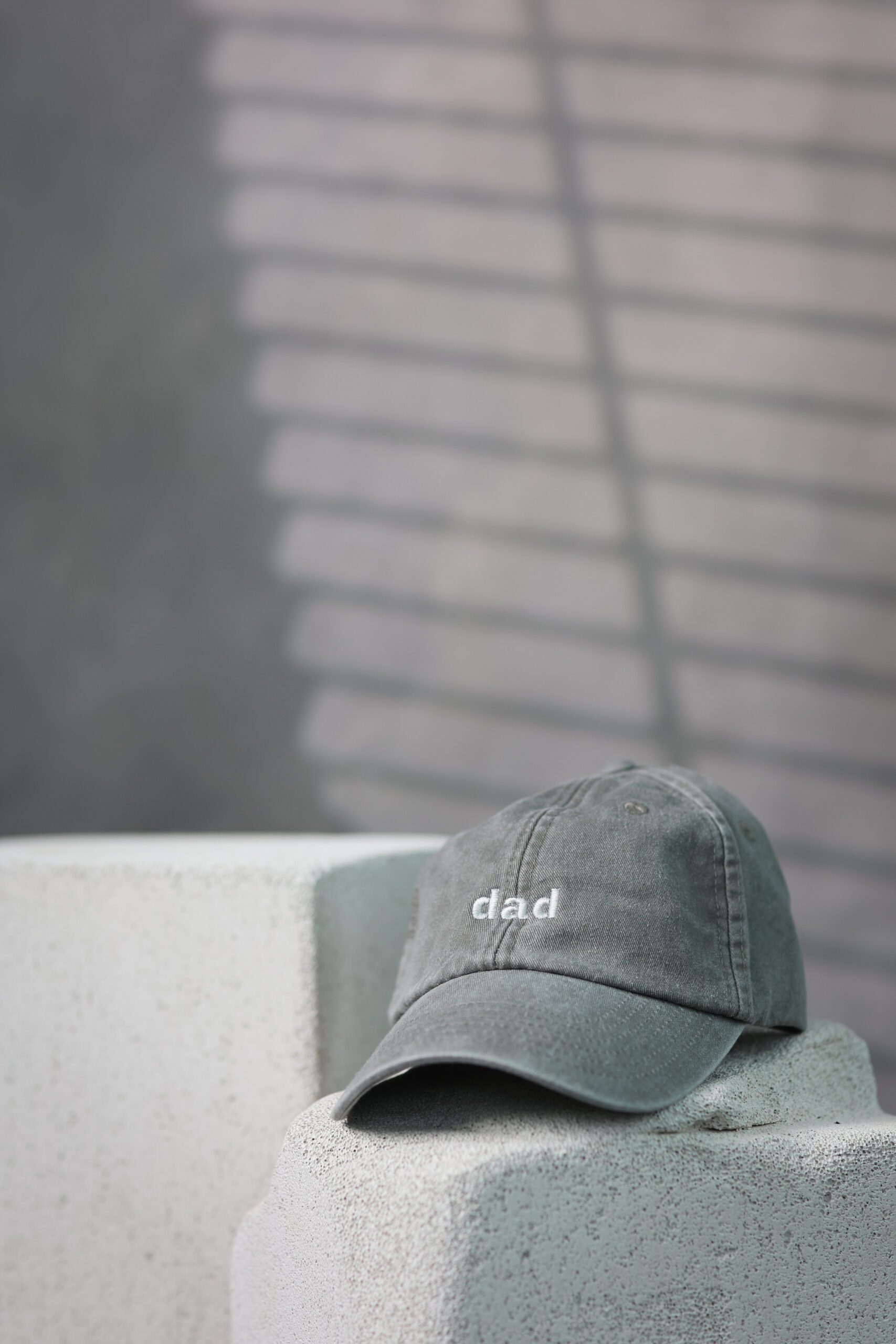 Kepurė ŠVIESIAI PILKA dad