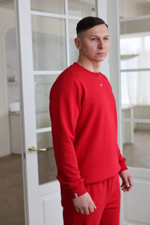 Alternative view of Vyriškas RAUDONAS džemperis
